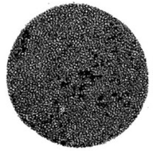 Replacement Filter